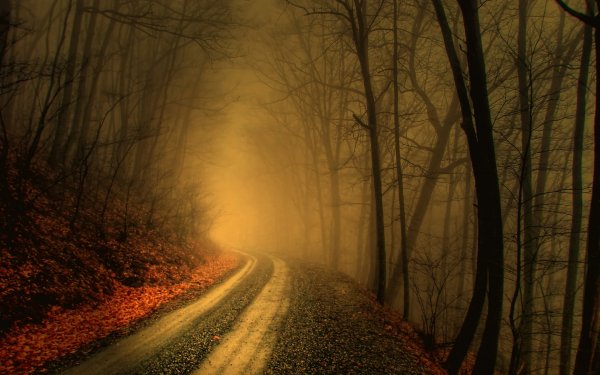 Earth - fog Wallpapers and Backgrounds