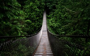 Man Made - bridge Wallpapers and Backgrounds
