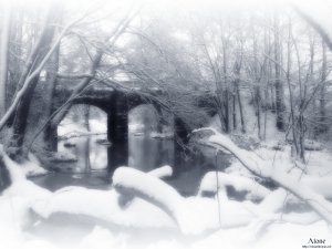 Earth - Winter Wallpaper