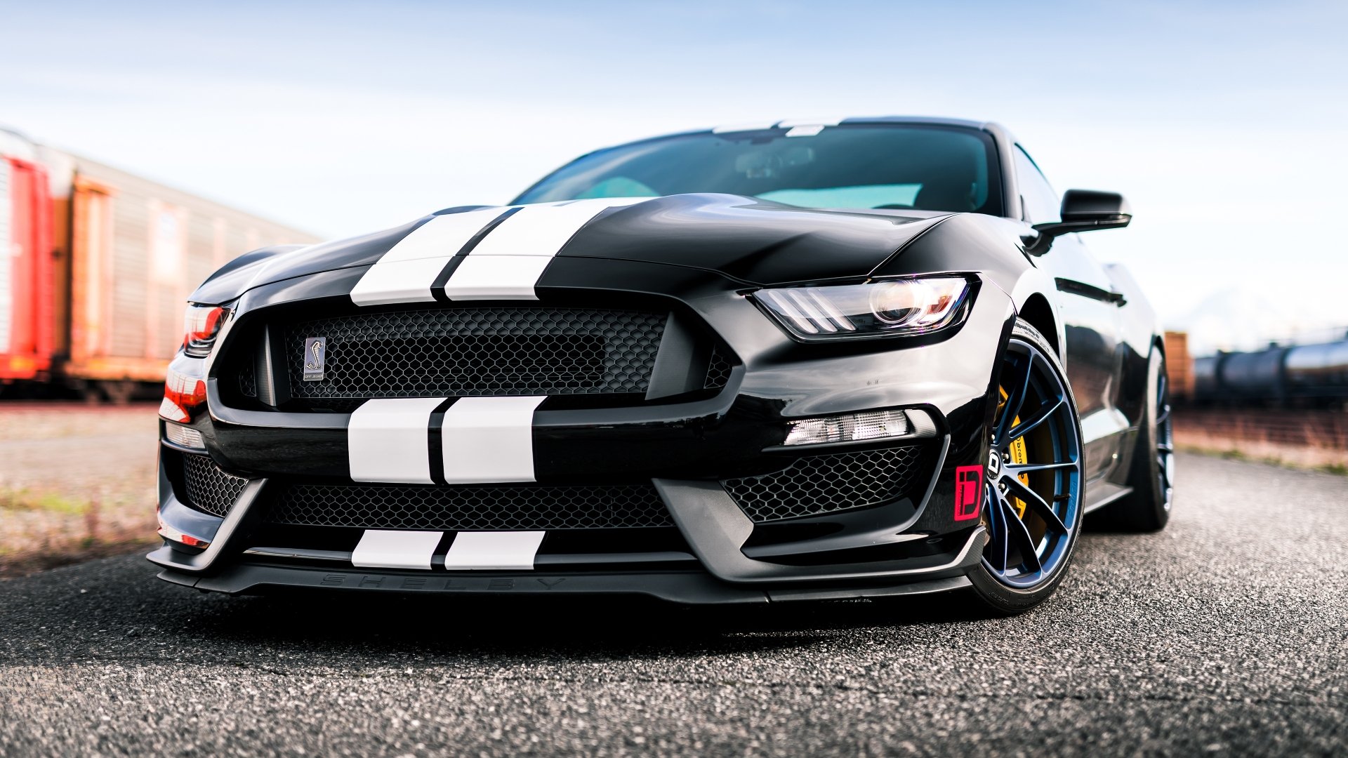 Ford Mustang Shelby Gt350 4k Ultra Hd Wallpaper Background Image 77184 Hot Sex Picture