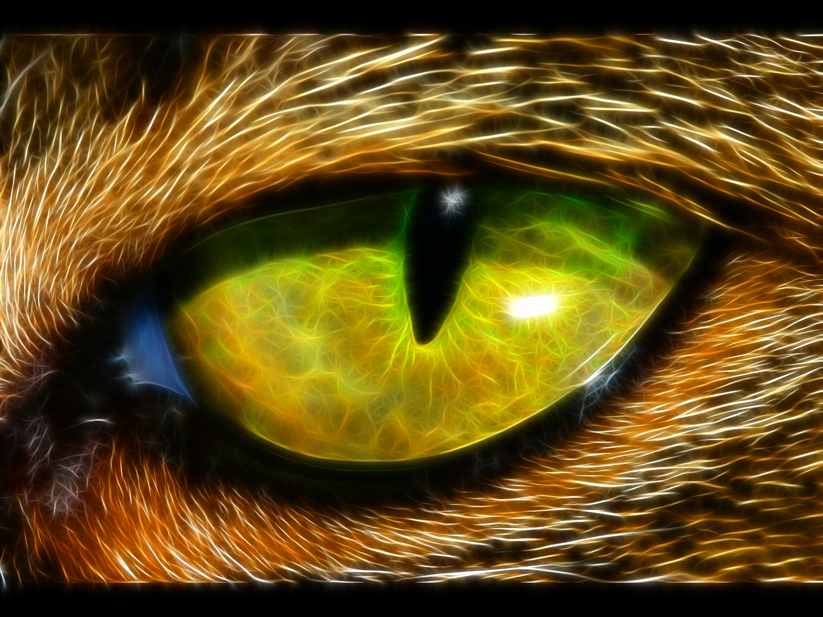 Eye Computer Wallpapers, Desktop Backgrounds | 1600x1200 | ID:121832