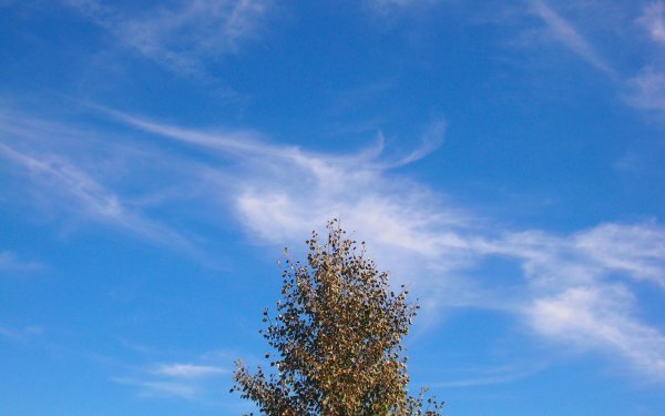 Earth - sky Wallpapers and Backgrounds