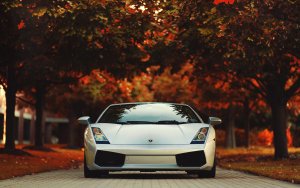 Vehicles - lamborghini Wallpaper