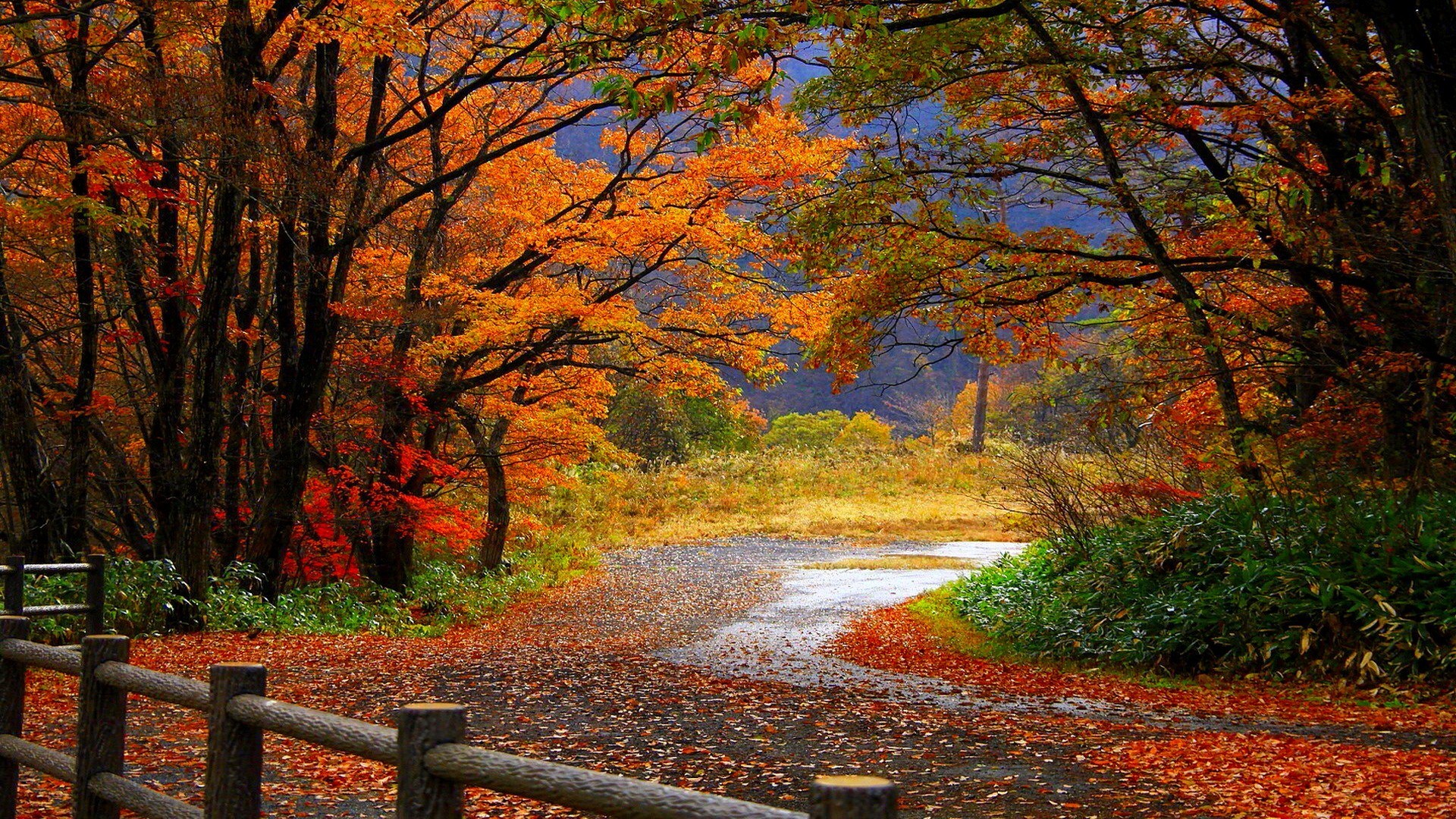 Autumn Computer Wallpapers, Desktop Backgrounds | 1920x1080 | ID:235242