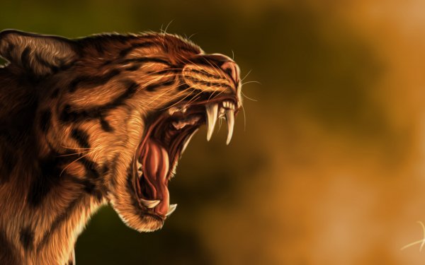 Artistic - Animal Wallpapers and Backgrounds