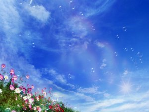 Earth - Flower Wallpaper