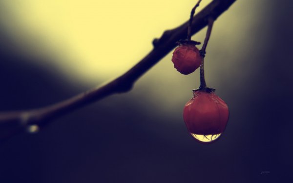 Earth - close up Wallpapers and Backgrounds