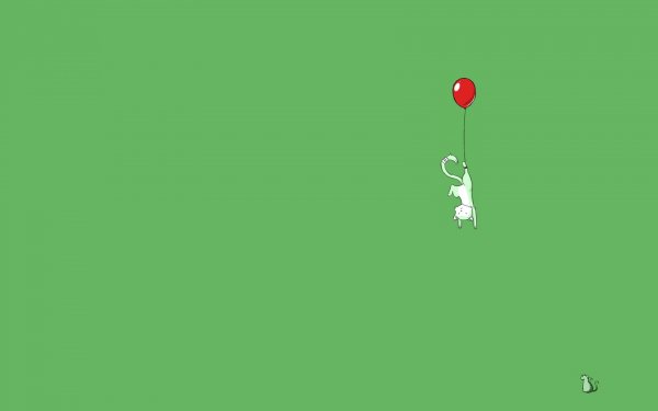 Humor - Funny Wallpaper