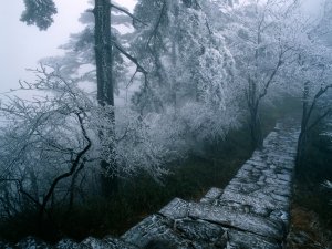 Earth - Winter Wallpaper