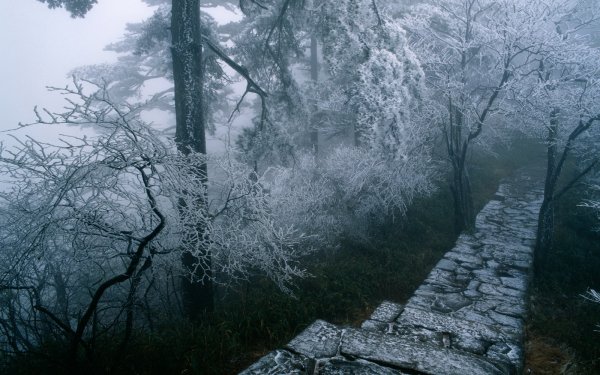Earth - winter Wallpapers and Backgrounds