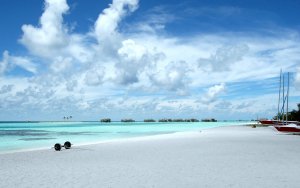 Earth - beach Wallpaper