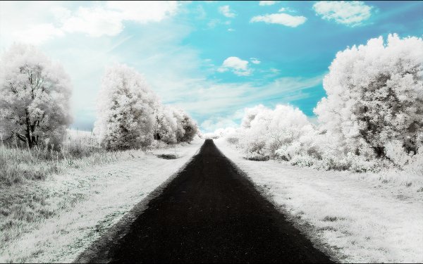 Earth - artistic Wallpapers and Backgrounds