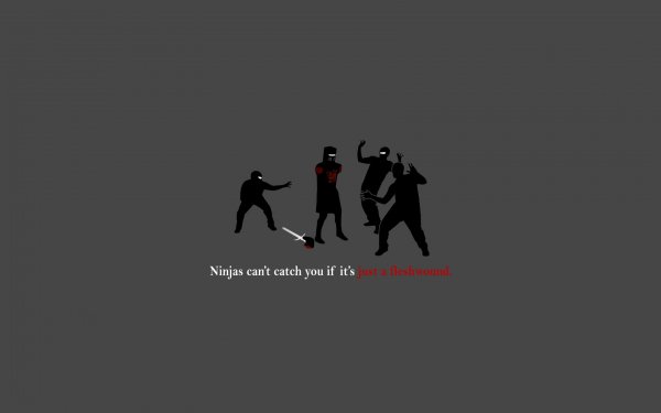 Humor - Ninjas Wallpapers and Backgrounds
