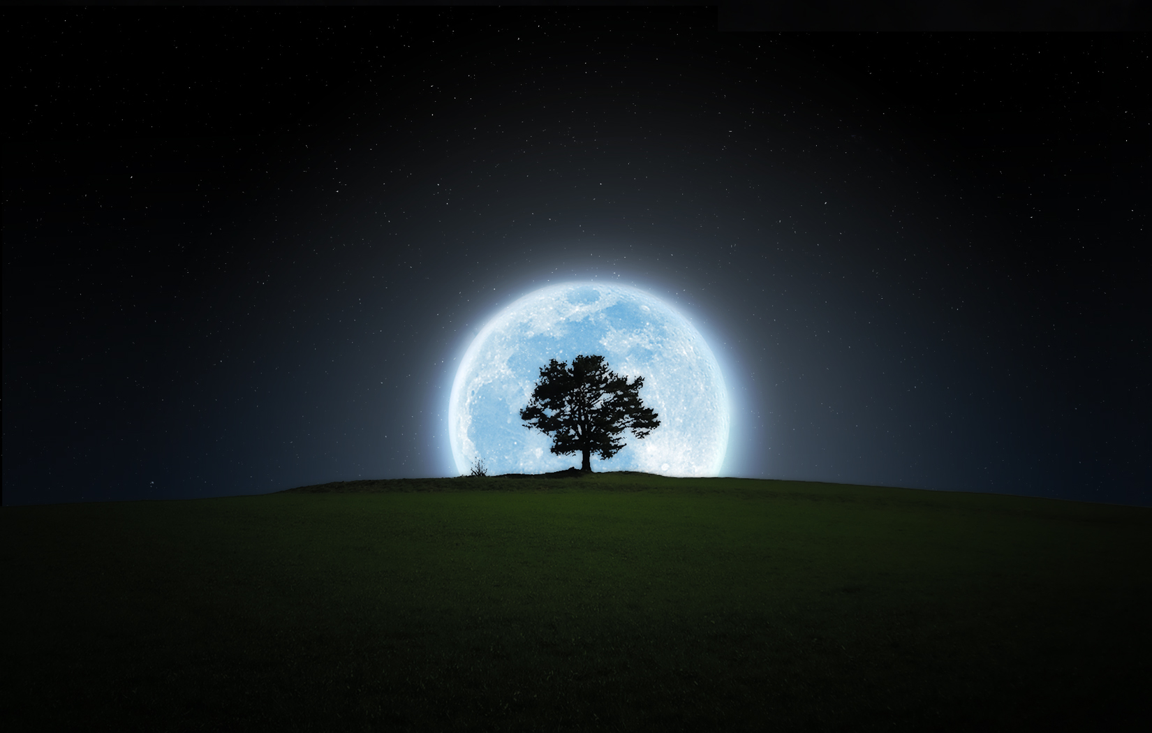Nature Moon HD Wallpaper | Background Image