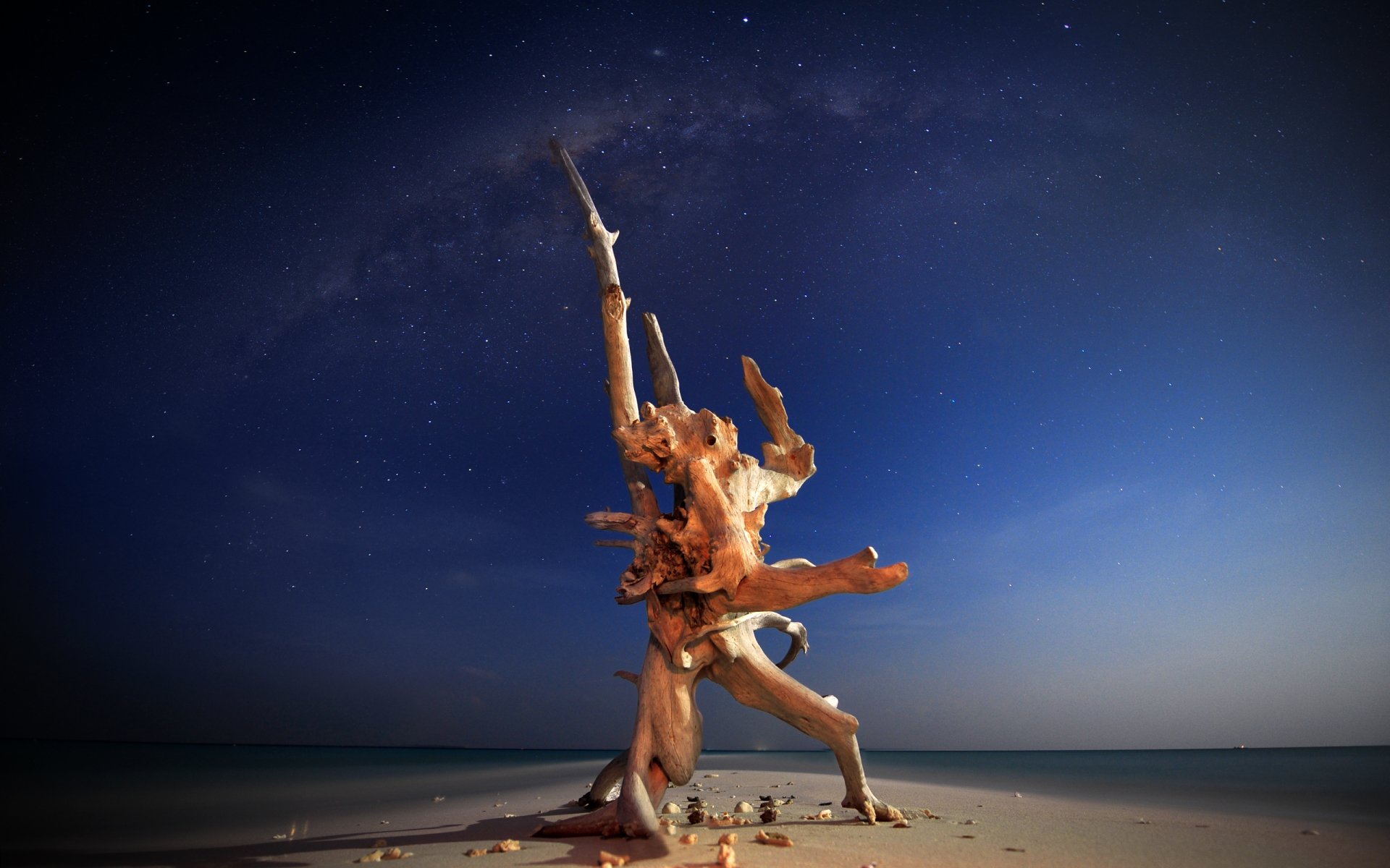 HD wallpaper featuring driftwood on a beach at night, with the Milky Way arching across the horizon above the ocean.