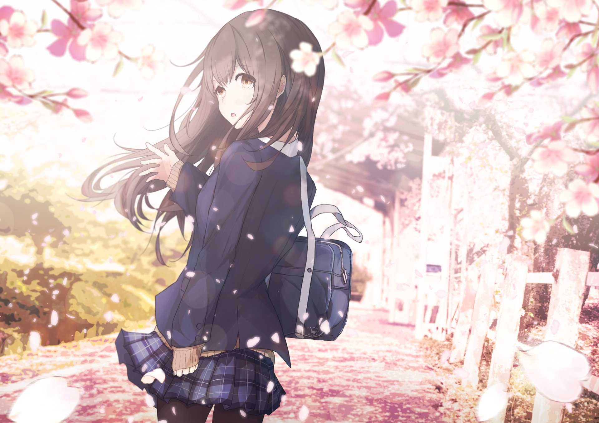 Anime original HD desktop wallpaper featuring a girl with long brown hair under cherry blossoms in soft, warm lighting, capturing a serene springtime scene.