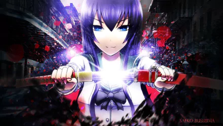 Saeko Busujima Anime Highschool Of The Dead HD Desktop Wallpaper | Background Image