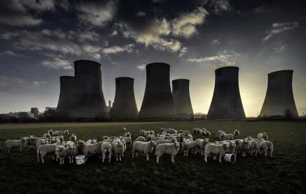 sheep nuclear plant man made power plant HD Desktop Wallpaper | Background Image