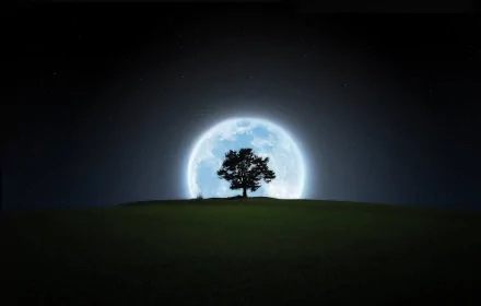 Silhouette of a tree on a hill with a full moon glowing in the night sky. Nature-themed HD desktop wallpaper.