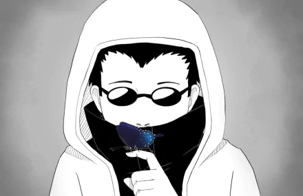 Shino Aburame Anime Naruto HD Desktop Wallpaper | Background Image