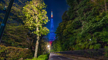 Tokyo Tower illuminated in vibrant blue and red lights, framed by lush green trees along a quiet nighttime path, captured in stunning 8K Ultra HD.