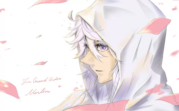 Merlin (Fate Series) Anime Fate/Grand Order HD Desktop Wallpaper | Background Image