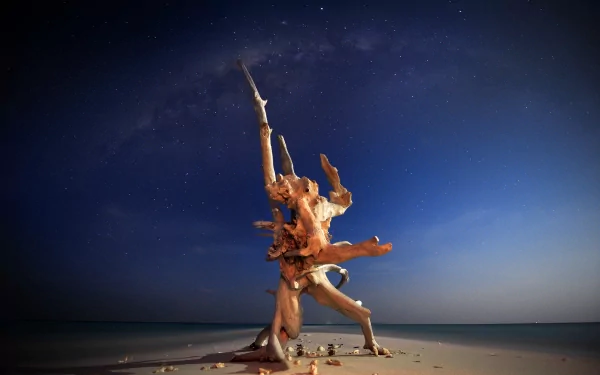 HD wallpaper featuring driftwood on a beach at night, with the Milky Way arching across the horizon above the ocean.