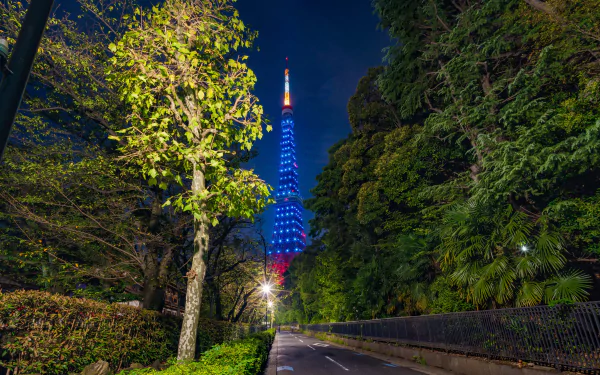 Tokyo Tower illuminated in vibrant blue and red lights, framed by lush green trees along a quiet nighttime path, captured in stunning 8K Ultra HD.