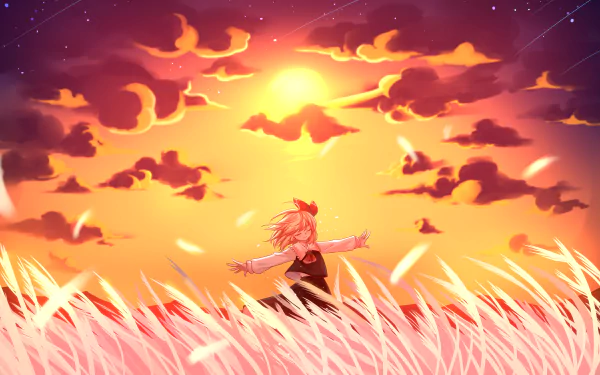 Anime 4K Ultra HD PC desktop wallpaper/background of Rumia (Touhou): a blonde girl in a dark dress stands in glowing tall grass as a fiery sunset fills the sky.