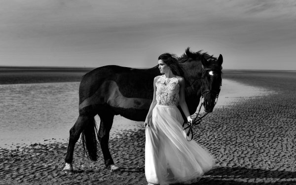 Women Bride Black & White Horse Model Wedding Dress HD Wallpaper | Background Image
