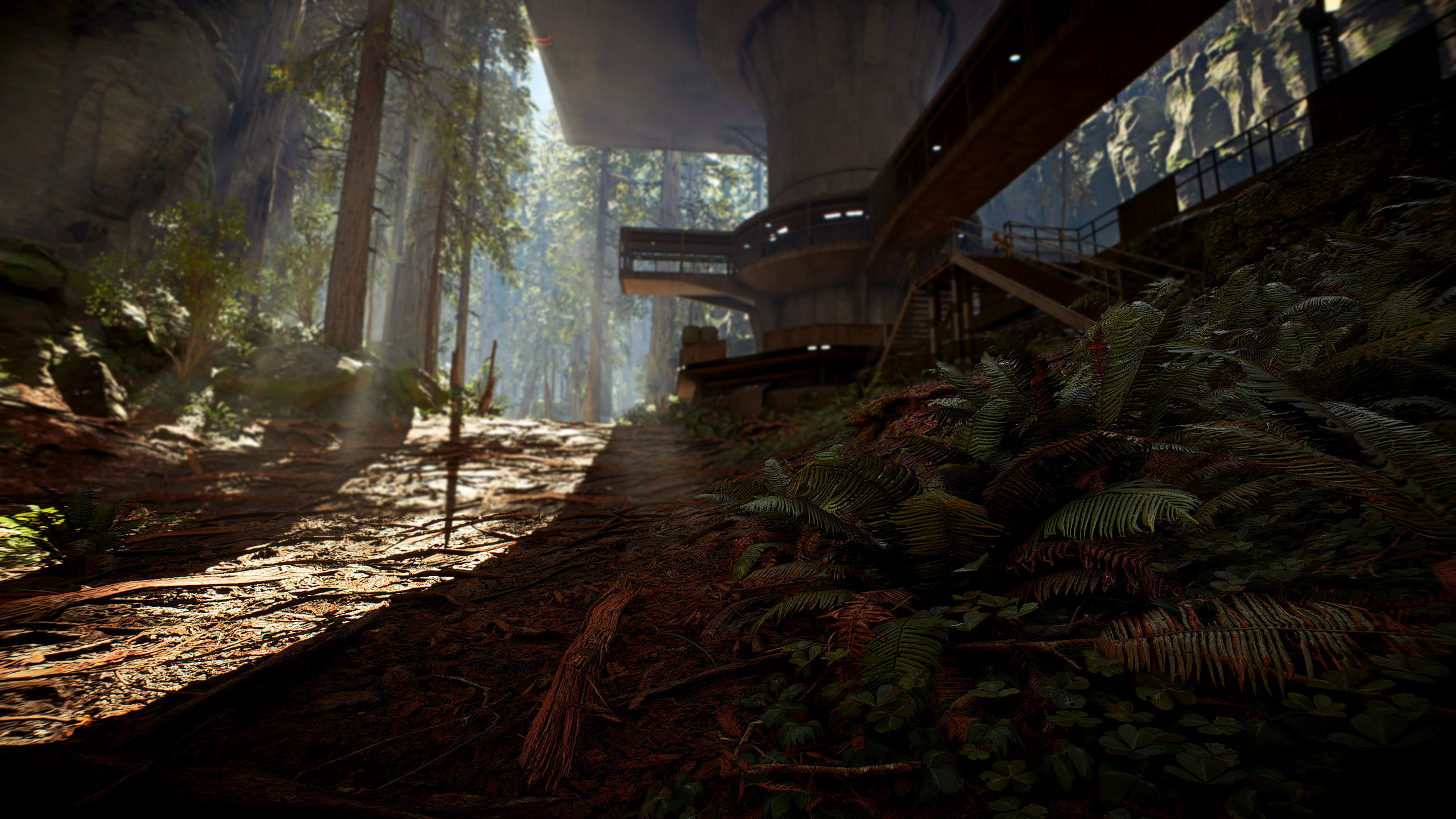 Endor 4K wallpapers for your desktop or mobile screen free and easy to  download
