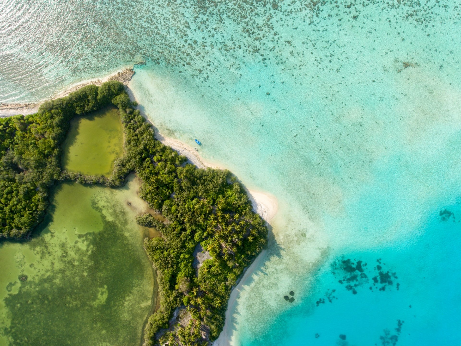 Aerial 4K Ultra HD view of a lush island surrounded by turquoise waters in the Maldives, showcasing vibrant natural beauty and pristine marine environment.