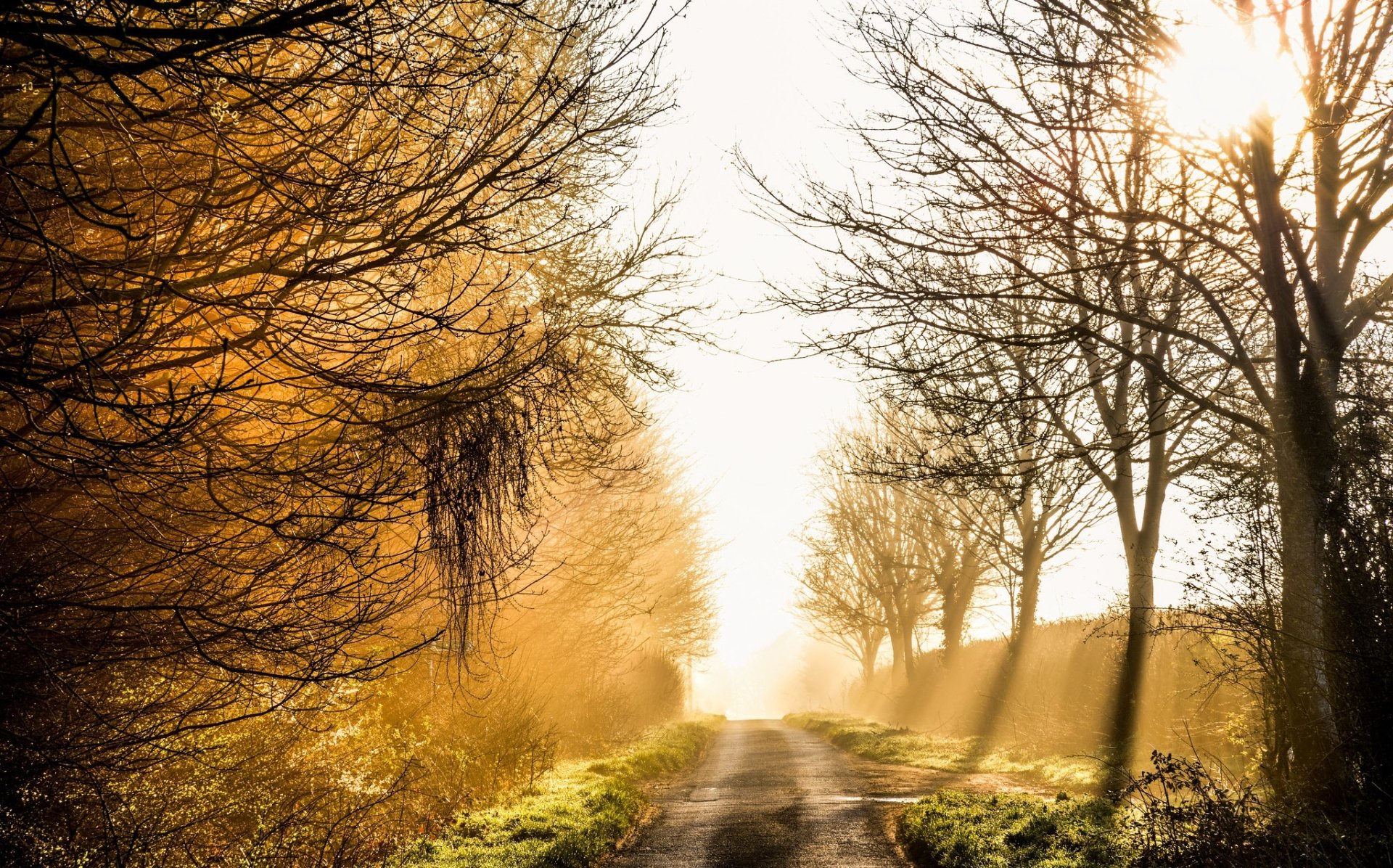 Download Dirt Road Nature Sunbeam HD Wallpaper