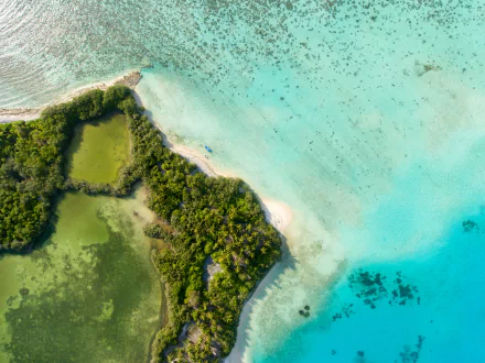 Aerial 4K Ultra HD view of a lush island surrounded by turquoise waters in the Maldives, showcasing vibrant natural beauty and pristine marine environment.
