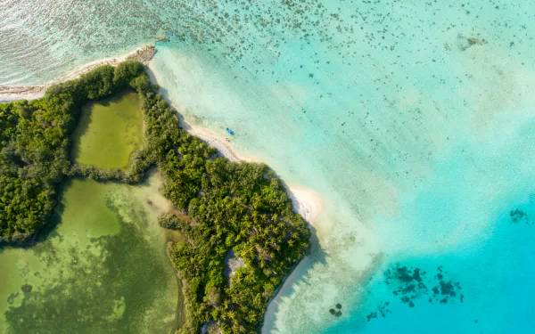 Aerial 4K Ultra HD view of a lush island surrounded by turquoise waters in the Maldives, showcasing vibrant natural beauty and pristine marine environment.