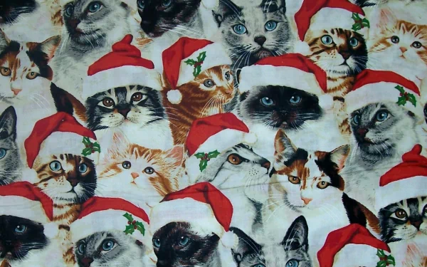 HD desktop wallpaper featuring a festive collage of cats wearing Santa hats, capturing a Christmas-themed animal scene with vibrant detail.