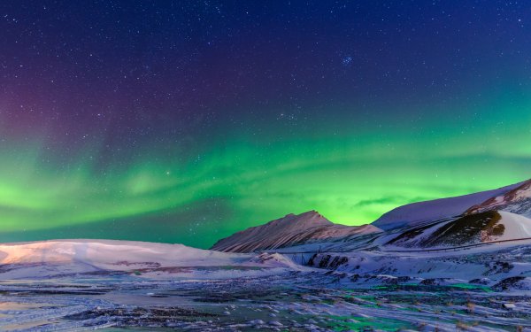 Earth Aurora Borealis Nature Sky Stars Snow Winter HD Wallpaper | Background Image