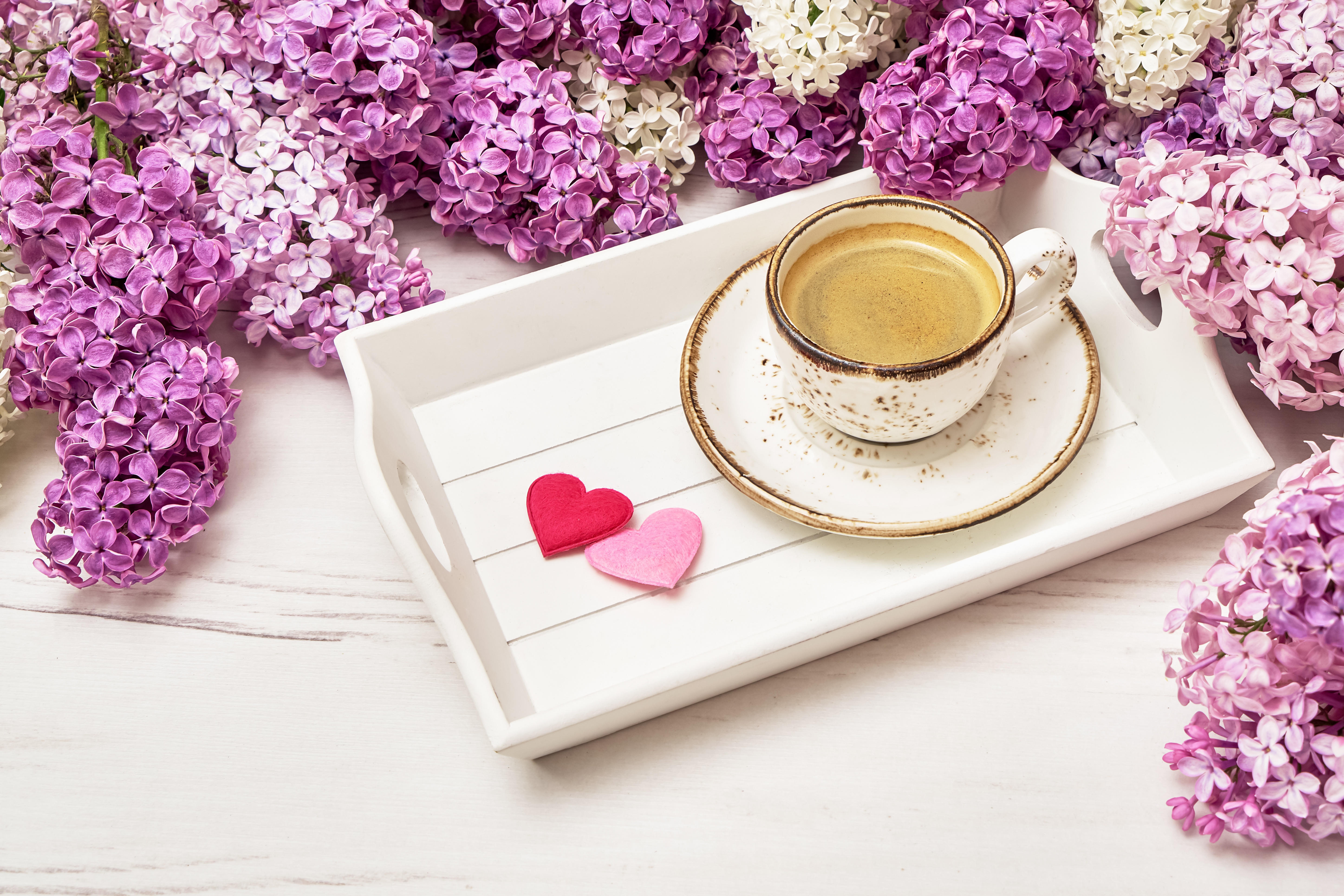 Доброго утра апреля стильные картинки. Кофе и цветы. Утро кофе цветы. Кофе с цветами. Чашка кофе и цветы.