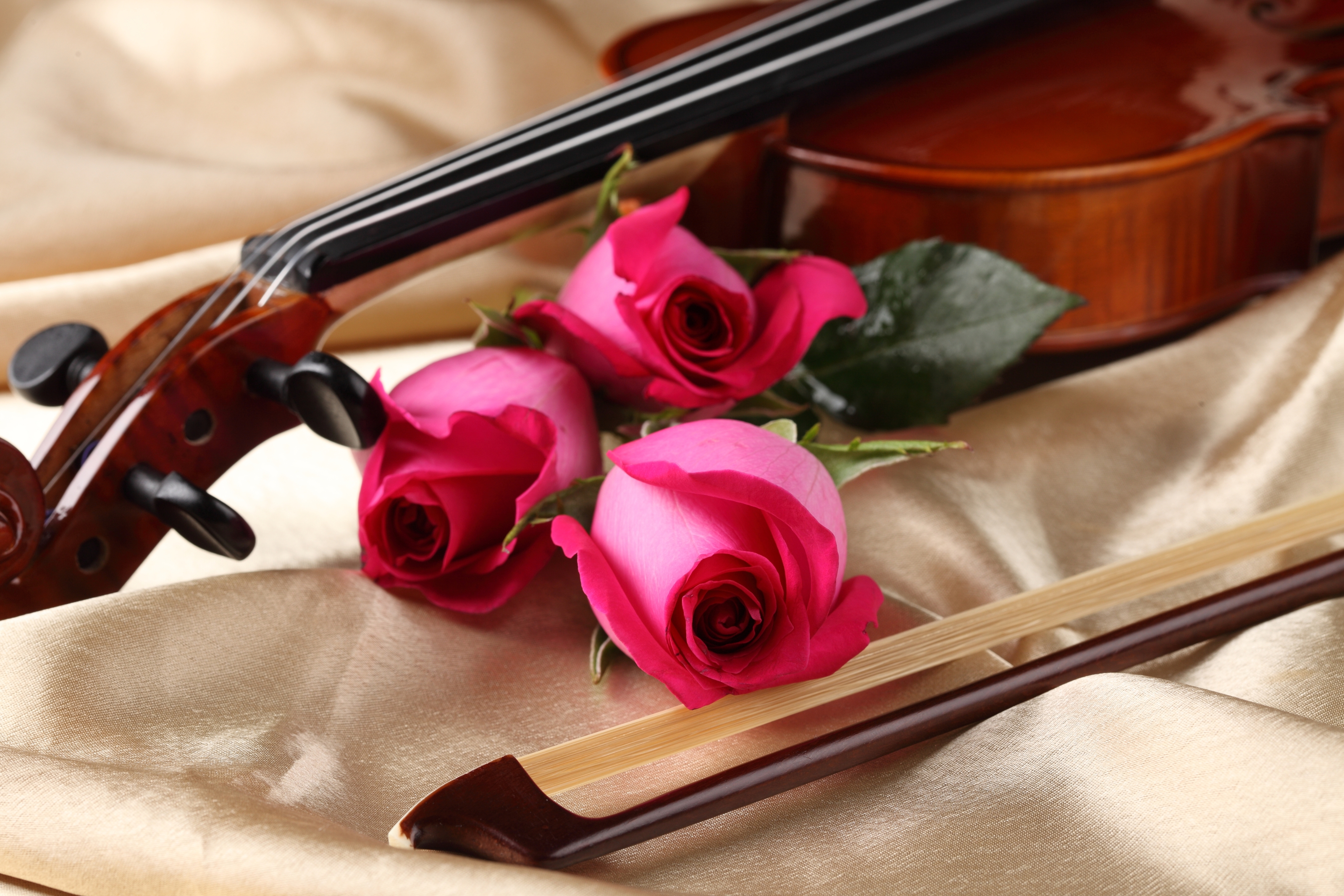 Music Artistic HD Wallpaper | Background Image