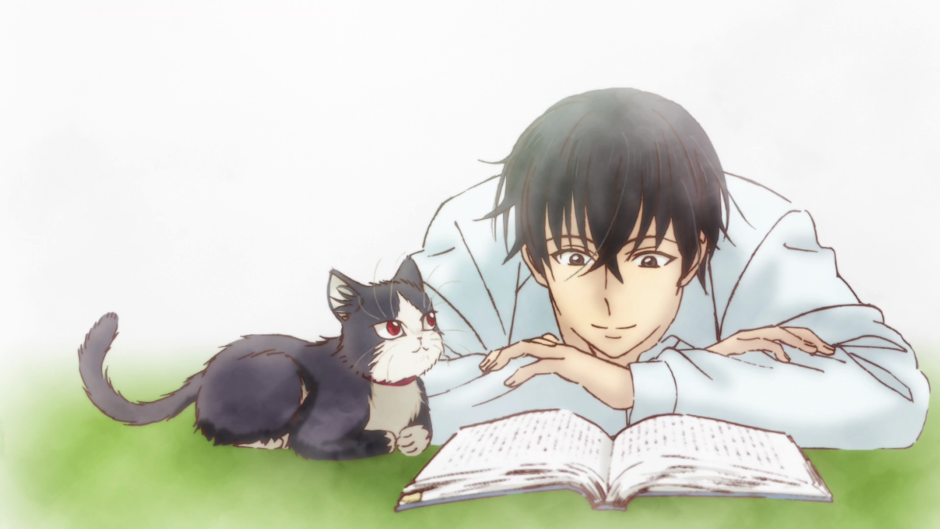 Anime My Roommate is a Cat HD Wallpaper | Background Image
