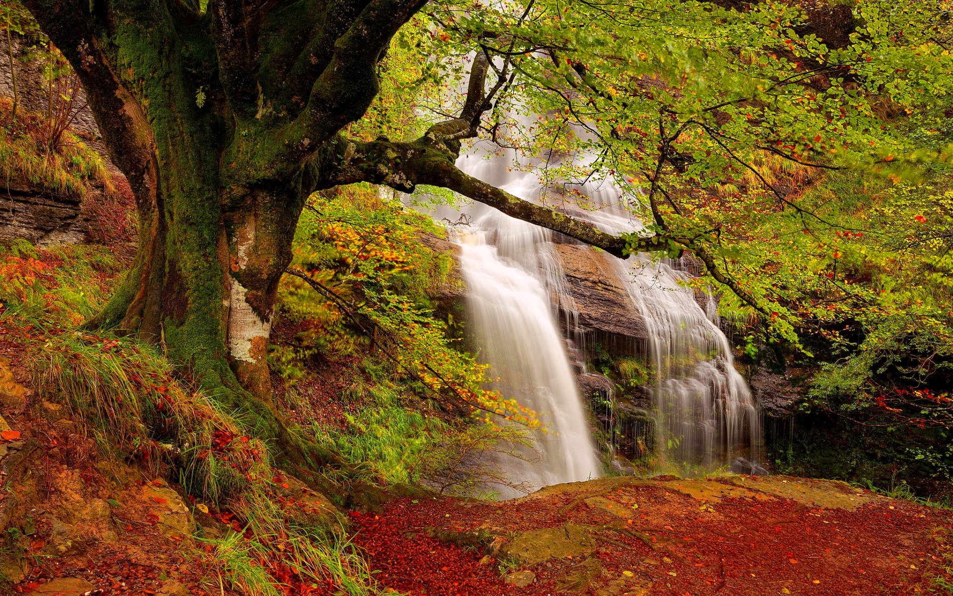 Fall Waterfall Scene HD Wallpaper