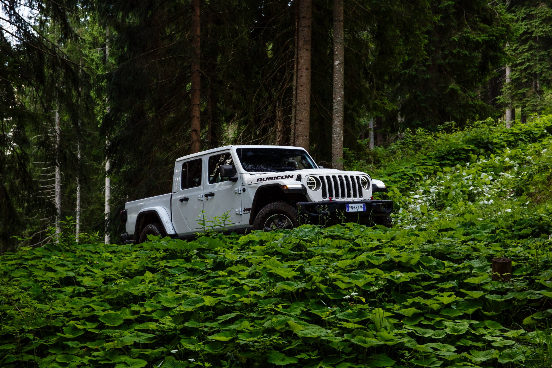Download White Car Car Jeep Vehicle Jeep Gladiator 4k Ultra HD Wallpaper