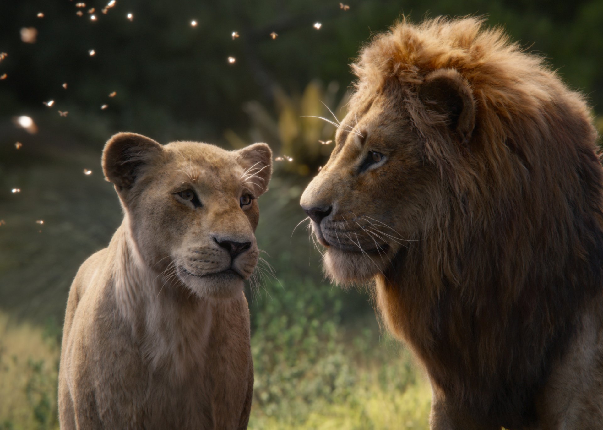 HD desktop wallpaper featuring Nala and Simba from the 2019 movie The Lion King, set against a natural, sunlit background.