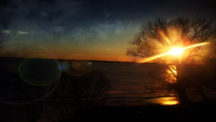 A serene sunrise over water, featuring silhouetted trees and vibrant colors, enhanced through Photoshop, makes for a stunning HD desktop wallpaper celebrating nature’s beauty.