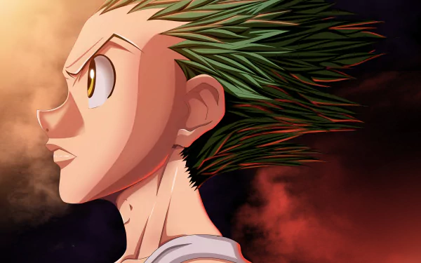 Gon Freecss Anime Hunter x Hunter HD Desktop Wallpaper | Background Image