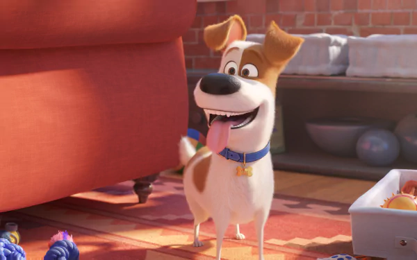 movie The Secret Life of Pets 2 HD Desktop Wallpaper | Background Image