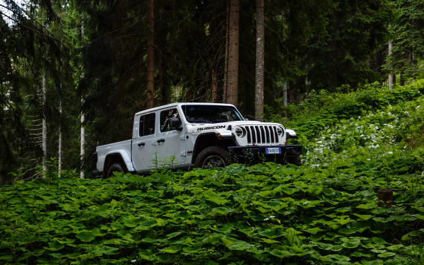 white car car Jeep vehicle Jeep Gladiator HD Desktop Wallpaper | Background Image