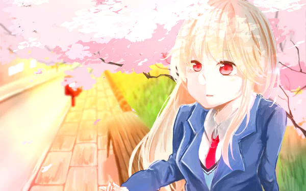Mashiro Shiina Anime Sakurasou no Pet na Kanojo HD Desktop Wallpaper | Background Image