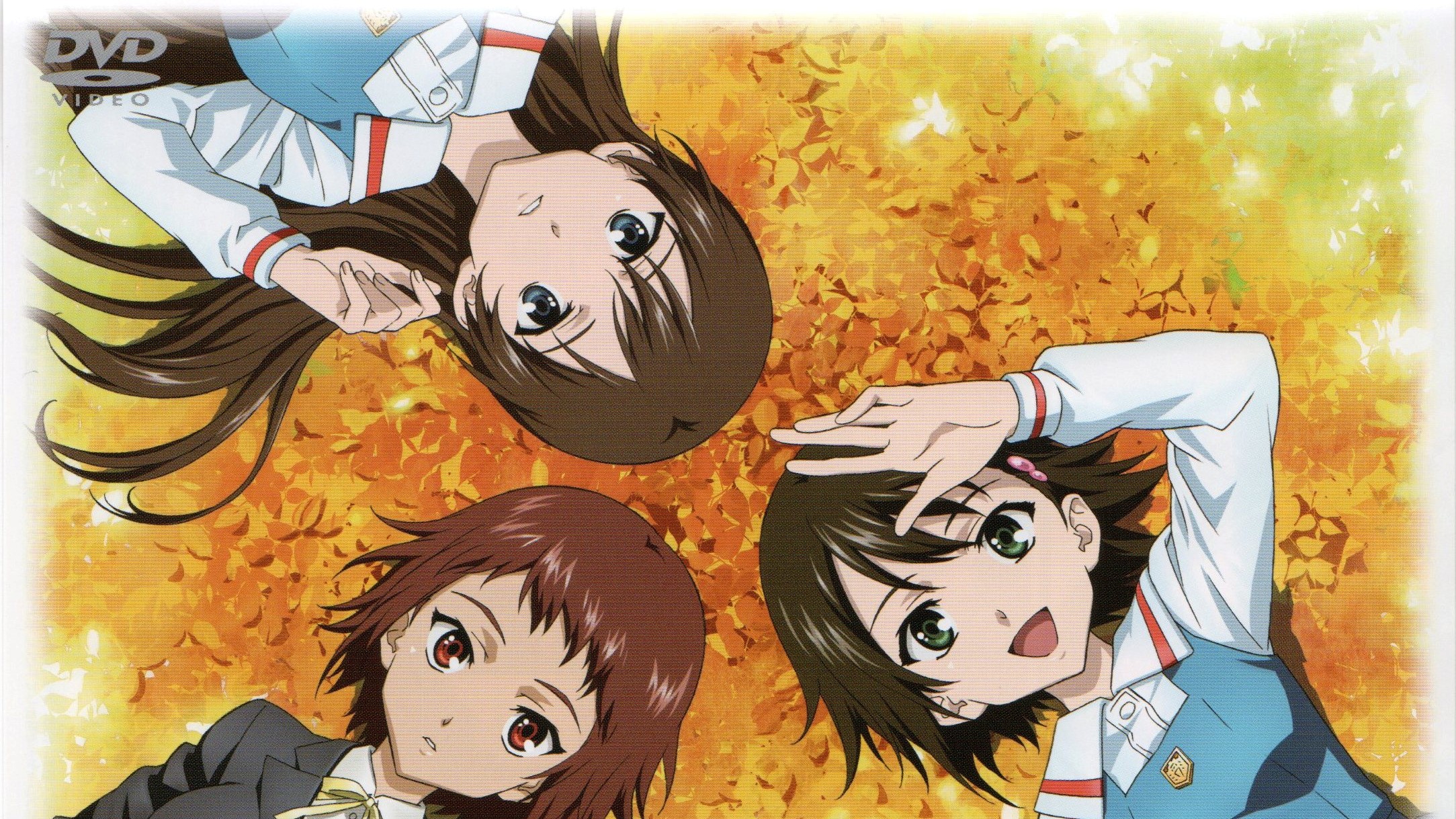 Anime True Tears HD Wallpaper | Background Image