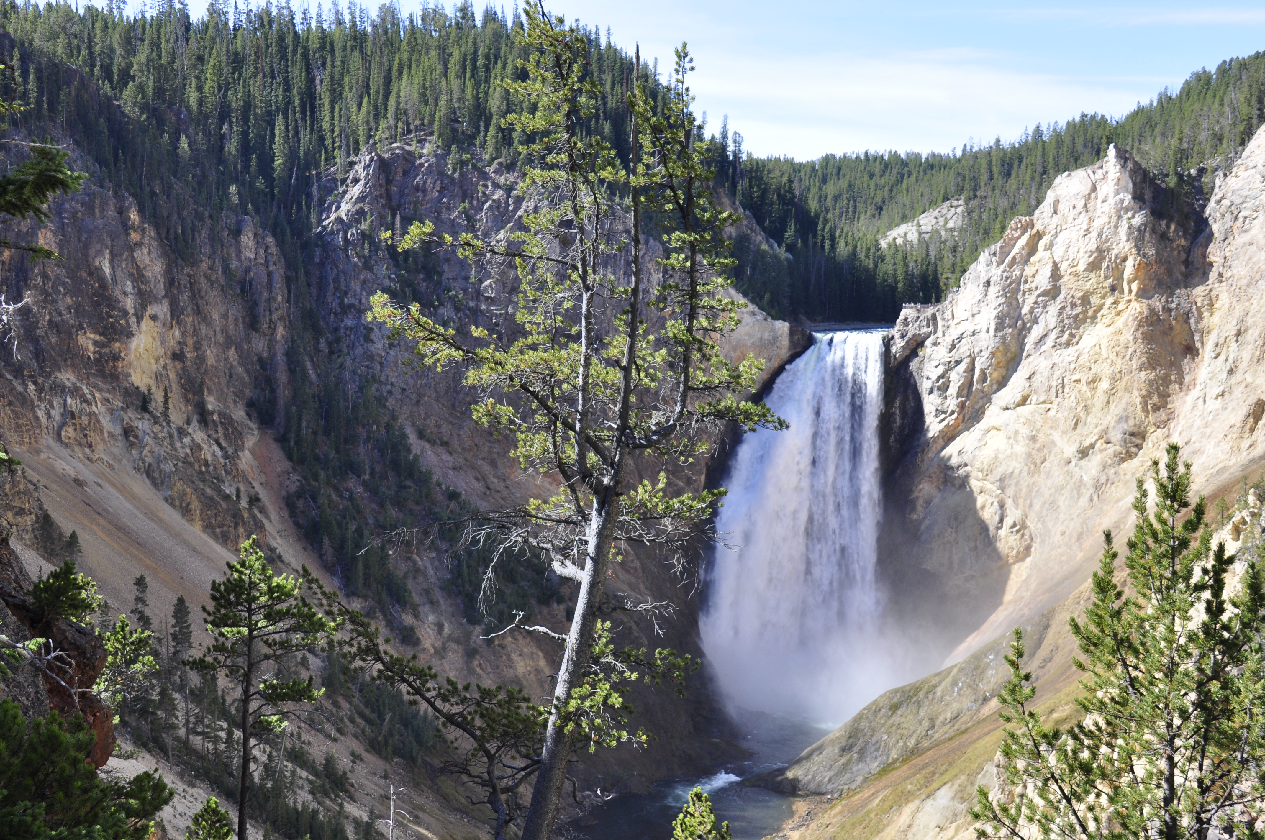 Nature Waterfall HD Wallpaper | Background Image